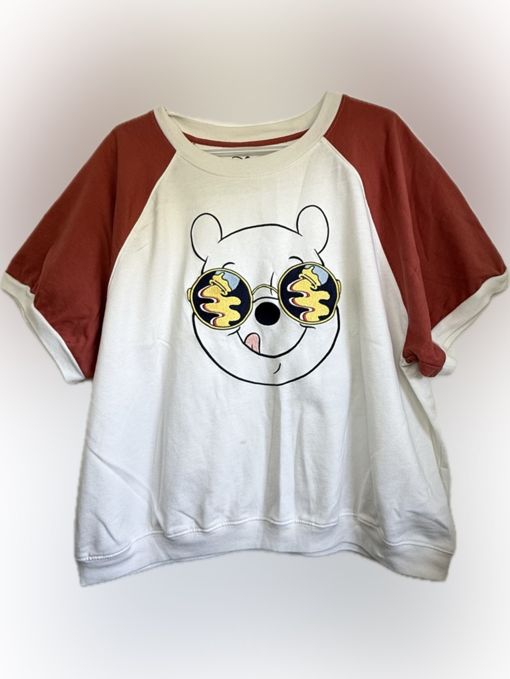 Disney Winnie the Pooh Loungewear Top Plus Size 2X